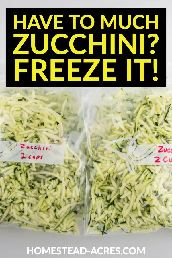 How To Freeze Zucchini With Or Without Blanching Homestead Acres