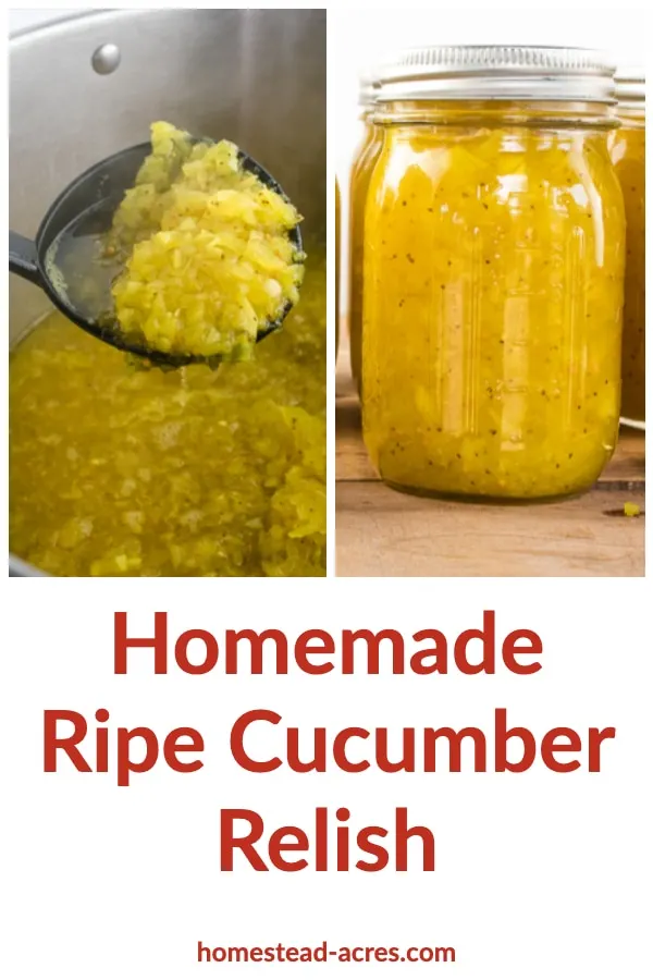 Homemade Ripe Cucumber Relish