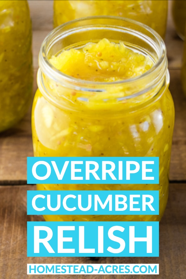 Overripe Cucumber Relish