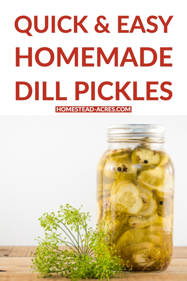 Quick and Easy Homemade Dill Pickles text overlaid on a photo of sliced round pickles in a canning jar.