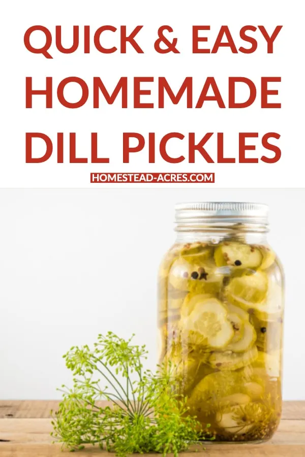 Quick and Easy Homemade Dill Pickles text overlaid on a photo of sliced round pickles in a canning jar.