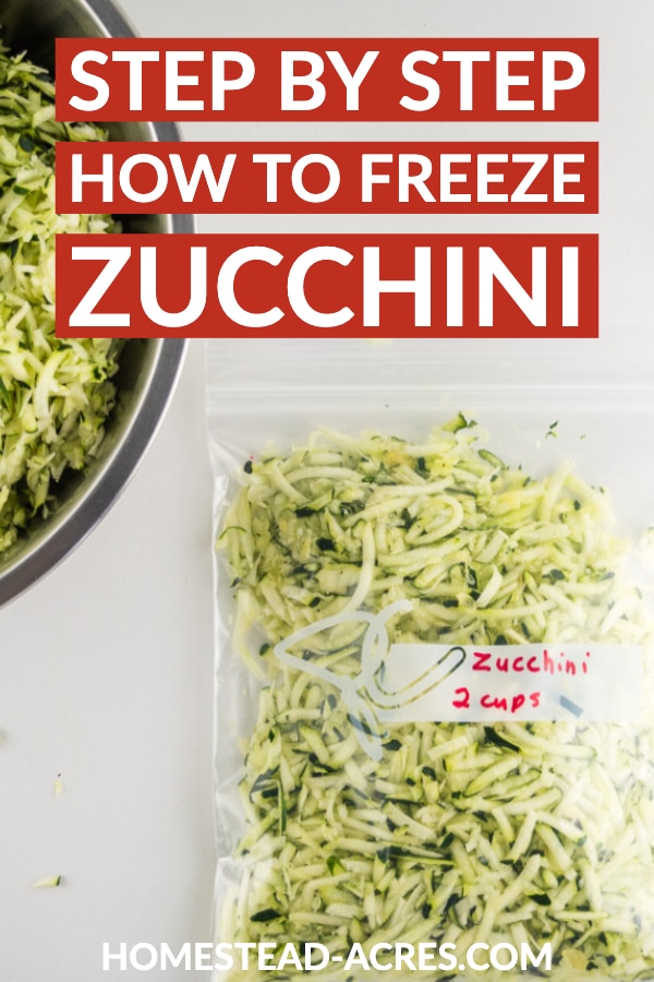 Step by Step How to Freeze Zucchini text overlaid on top of a photo of shredded zucchini in a freezer bag and a bowl of zucchini.