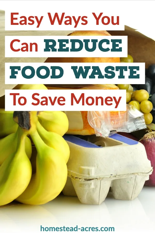 Easy Ways You Can Reduce Food Waste To Save Money text overlaid on a photo of fresh produce, cheese and eggs.