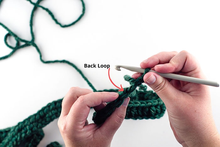 Showing the back loop for crochet stitch.