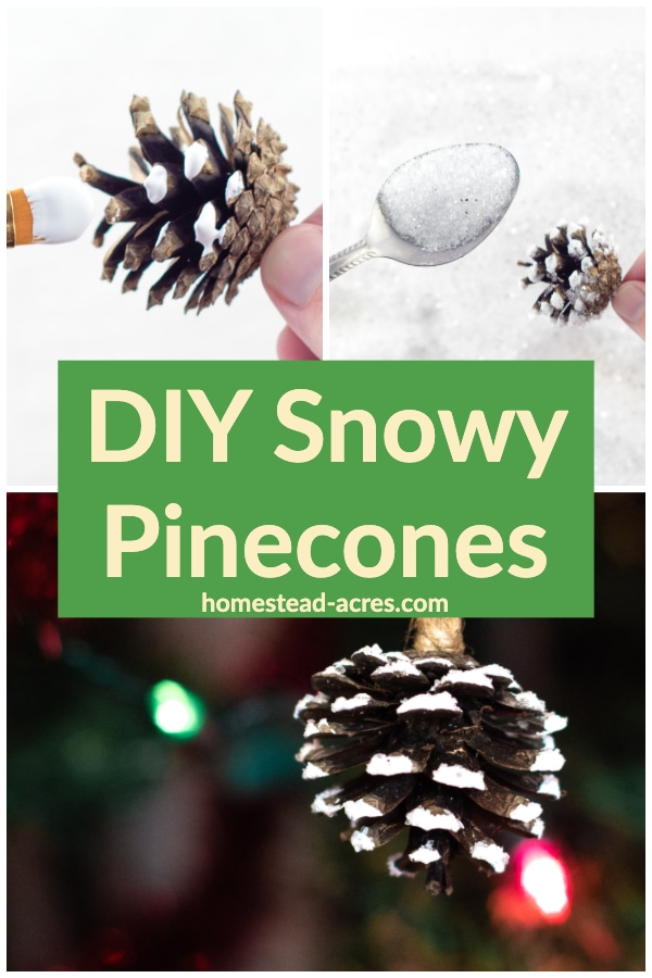 DIY Snowy Pinecones