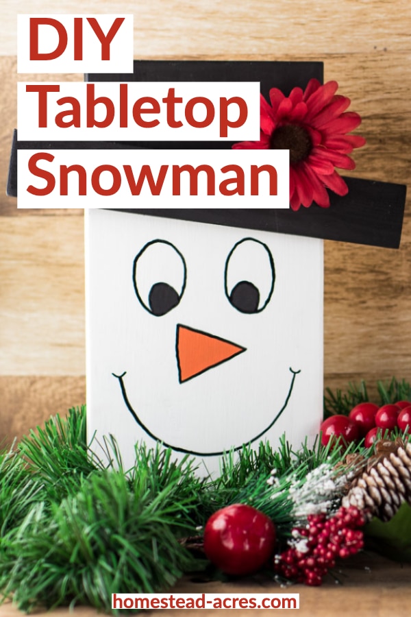 DIY Tabletop Snowman