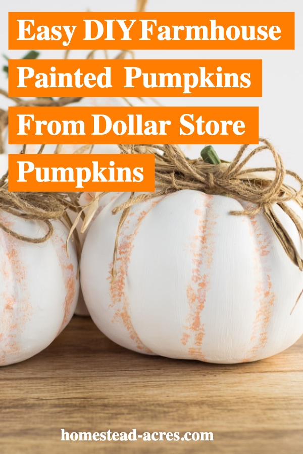 White pumpkins with orange ribs and twine bows on a wooden table. Text overlay says Easy DIY Farmhouse Painted Pumpkins From Dollar Store Pumpkins.
