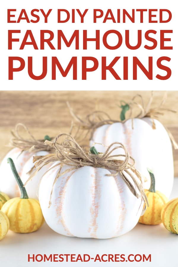 White and orange painted pumpkins with twine bows. Text overlay says Easy DIY Painted Farmhouse Pumpkins.