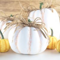 Easy DIY Painted Farmhouse Pumpkins.