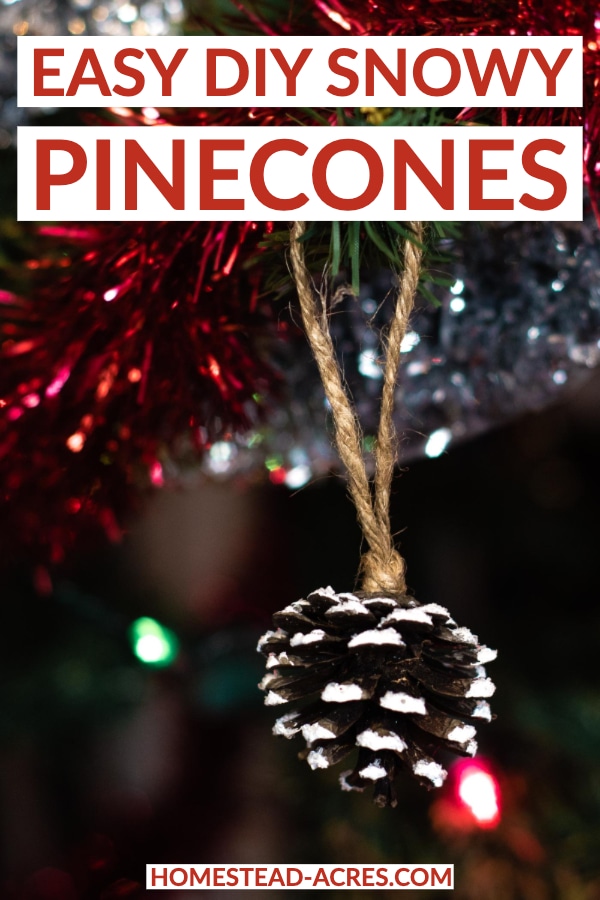 Easy DIY Snowy Pinecones