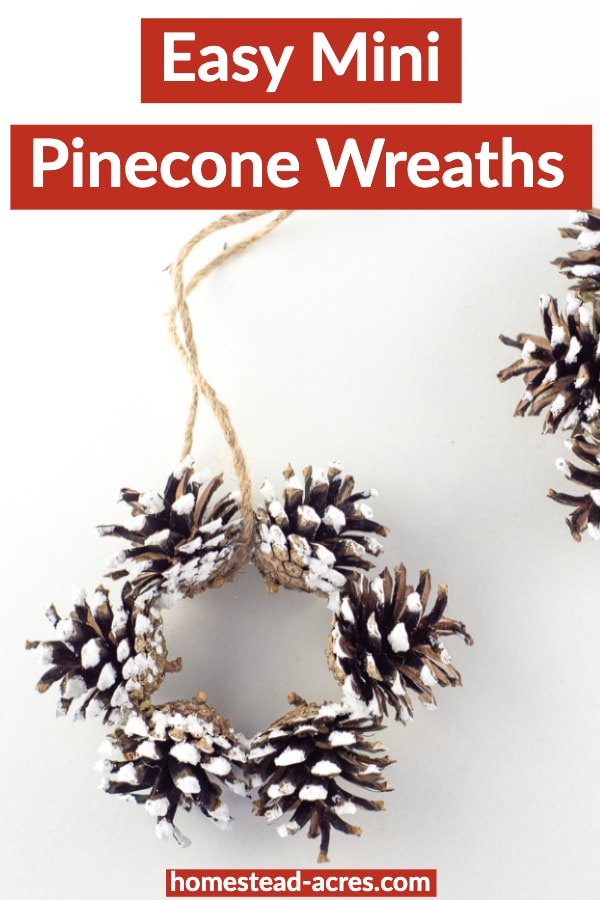 Easy Mini Pinecone Wreaths