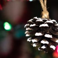 Easy Snowy Pinecone Craft.
