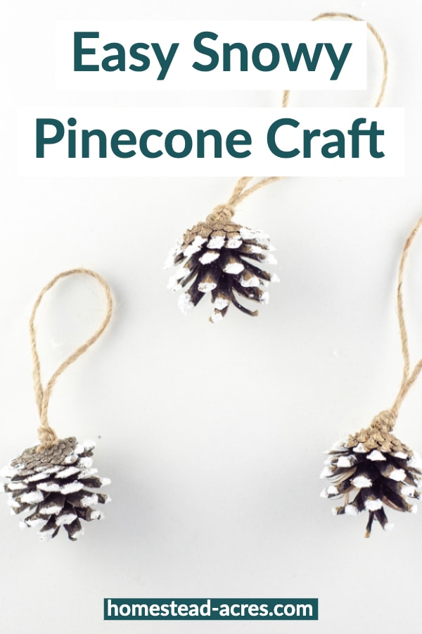 Easy Snowy Pinecone Craft Idea