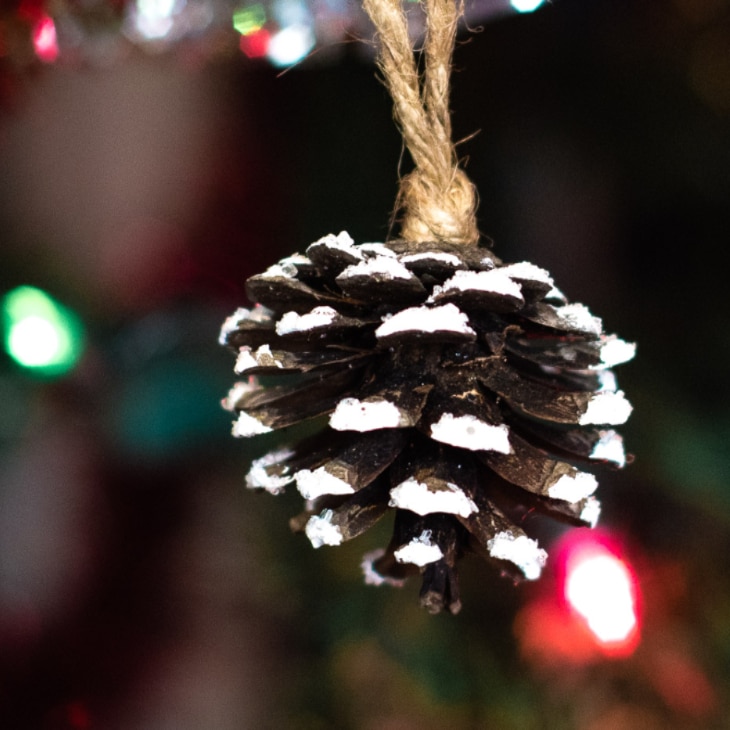 How to make snowy pinecones