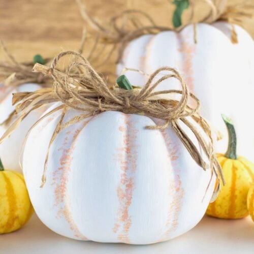 White painted plastic pumpkins with subtle orange distressing are decorated with raffia and twine bows and arranged with small yellow gourds. A finished example for a tutorial on how to paint plastic pumpkins.