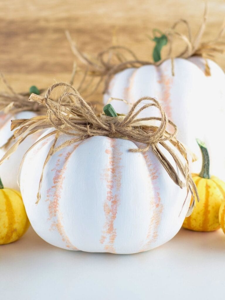 White painted plastic pumpkins with subtle orange distressing are decorated with raffia and twine bows and arranged with small yellow gourds. A finished example for a tutorial on how to paint plastic pumpkins.