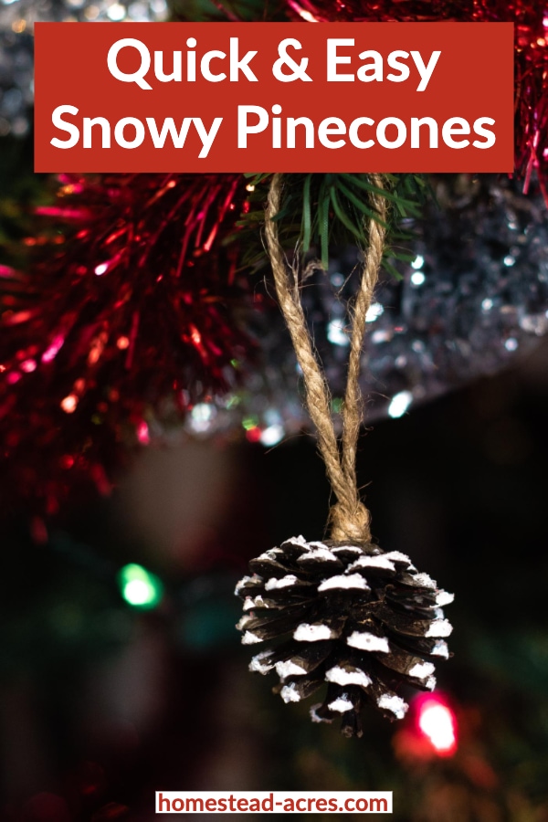 Quick and easy snowy pinecones