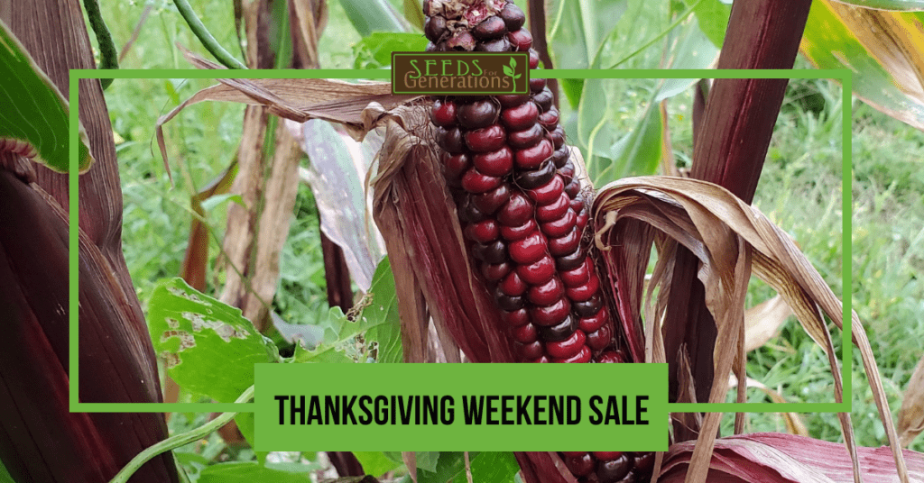 Seeds for Generations Thanksgiving Sale Banner.