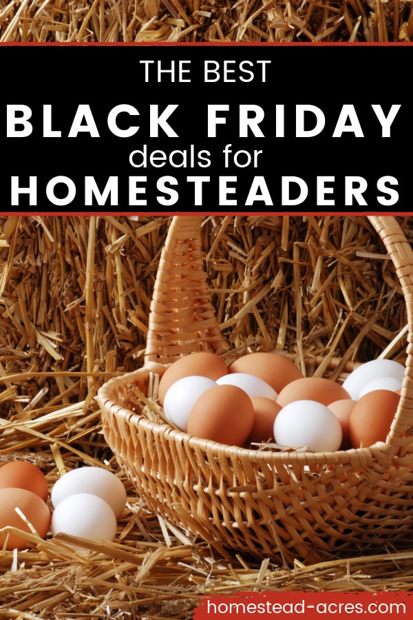 Eggs in a basket on a straw bale. Text overlay reads The best Black Friday deals for Homesteaders.