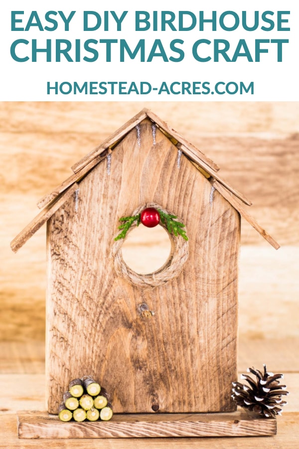 Easy DIY Birdhouse Christmas Craft