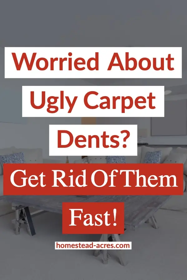 How To Get Dents Out Of Carpets And Prevent Them Homestead Acres