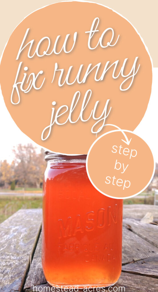 Jar of apple jelly on a table outside. Text overlay says How To Fix Runny Jelly Step By Step.