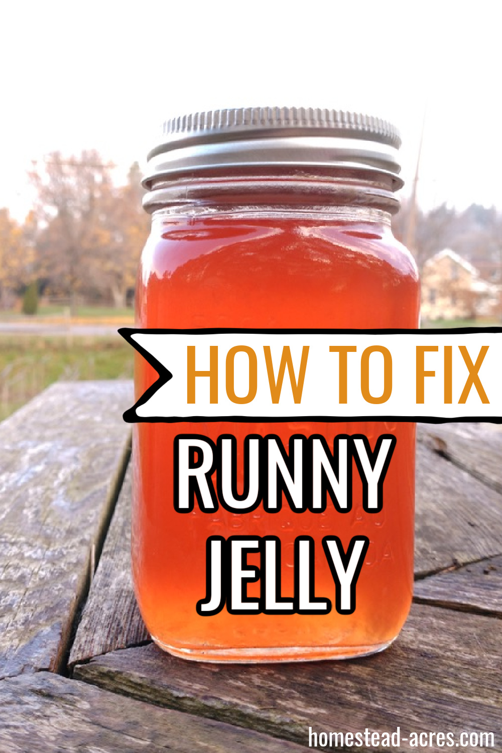 How To Fix Runny Jelly And Jam (Easy Step By Step Tips) Homestead Acres
