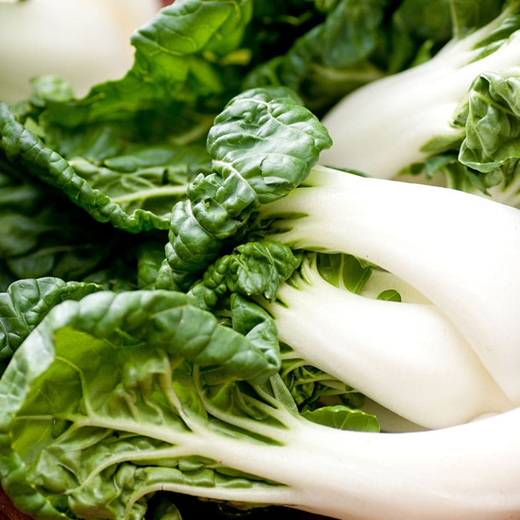 How To Grow Bok Choy