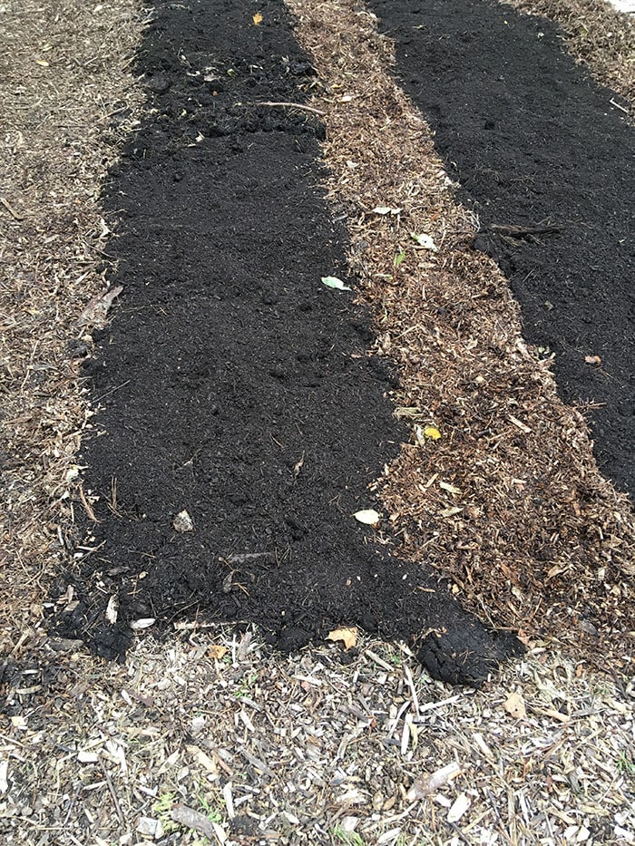 Finished no-dig garden ready to plant.