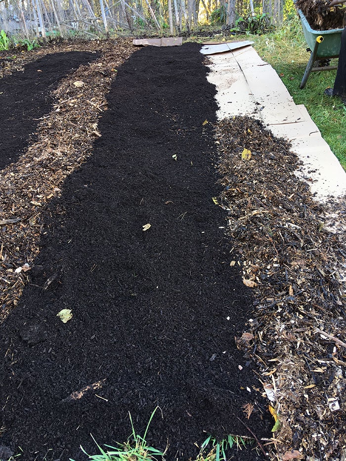 Filling in the pathway section with mulch.