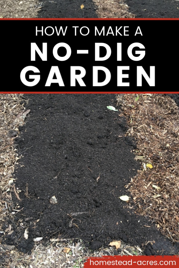 How to make a no-dig garden text overlaid on a photo of garden beds made with compost, mulch, and cardboard.