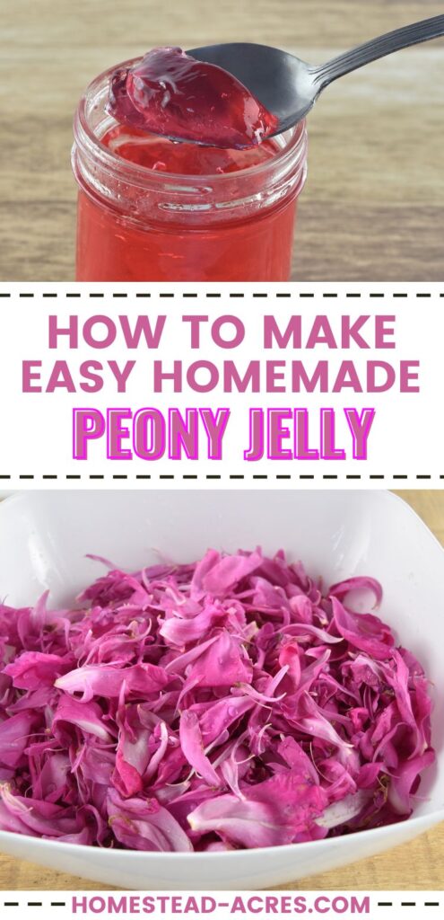 Collage image, top is a spoonful of peony jelly over a jar, bottom is a white bowl of peony flower petals. Text overlay says How To Make Easy Homemade Peony Jelly.