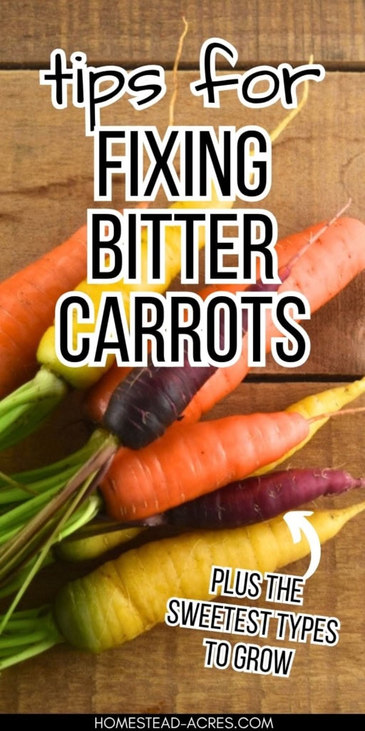 Colorful orange yellow and purple carrots arranged on a wooden table for troubleshooting bitter carrots. Text reads "tips for fixing bitter carrots" and "plus the sweetest types to grow".