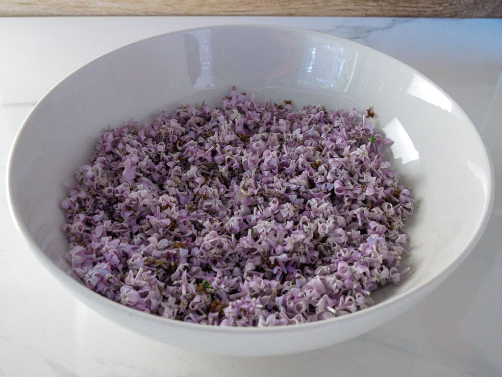 White bowl filled with purple lilac flowers.