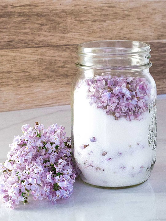Purple lilac flowers in a jar with white sugar. On the table next to it are more lilac flowers.