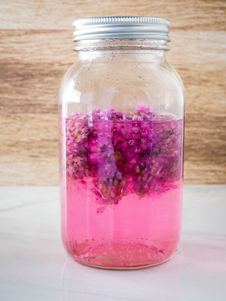 Mason jar with chive blossom vinegar before straining out the flowers.
