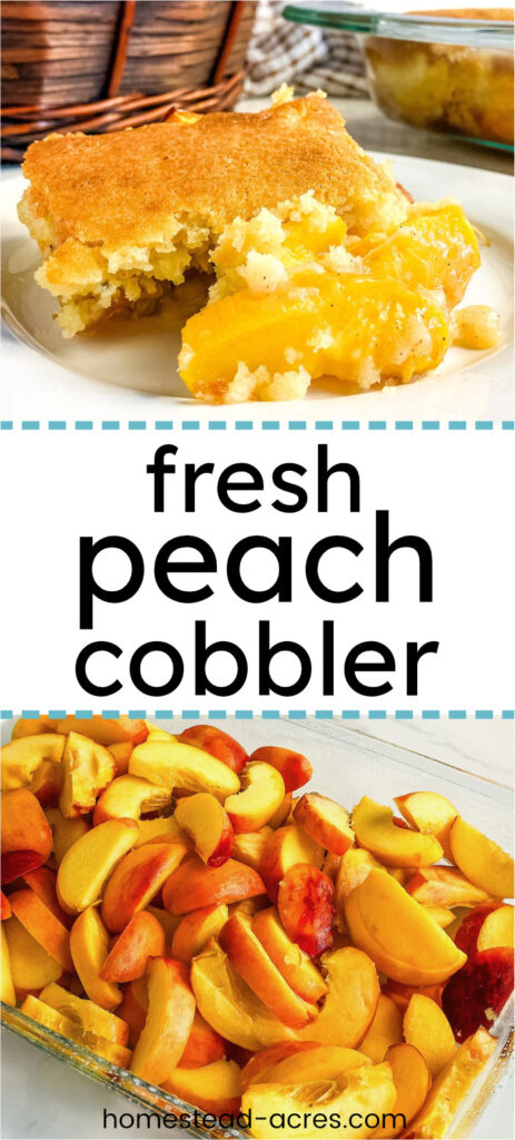 Collage image top is a slice of peach cobbler on a white plate, bottom is a baking pan filled with sliced peaches. The text overlay says Fresh Peach Cobbler.