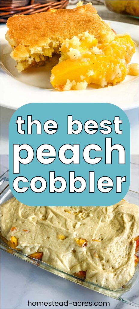 Collage image top image is a slice of peach cobbler bottom is a glass baking pan filled with peaches and uncooked topping. Text overlay says The Best Peach Cobbler.