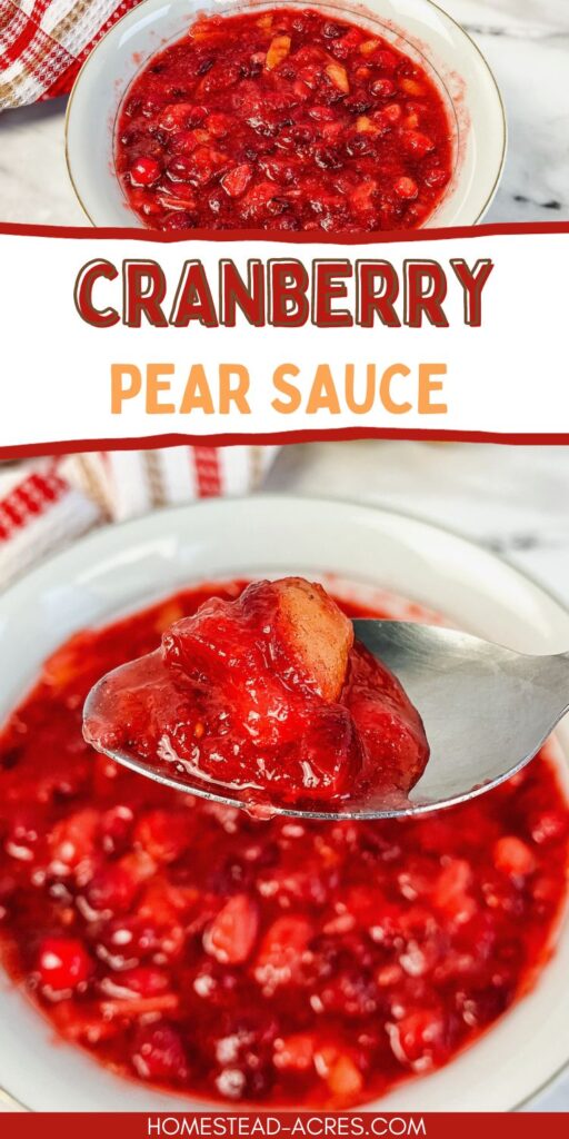 Collage image, the top is a white bowl of cranberry pear sauce. The bottom is a spoon holding up some sauce over the bowl.