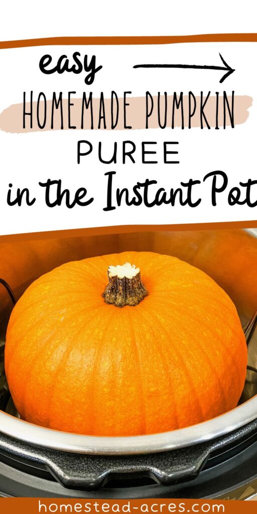 Whole pie pumpkin in an Instant Pot. Text overlay says Easy Homemade Pumpkin Puree In The Instant Pot.