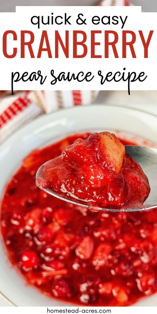 A spoon holding a homemade cranberry pear sauce over a serving bowl of sauce.
