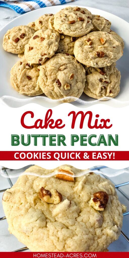 Collage image, top a plate of cookies, bottom a cooking on a cooling rack. Text overlay says Cake Mix Butter Pecan Cookies Quick & Easy.