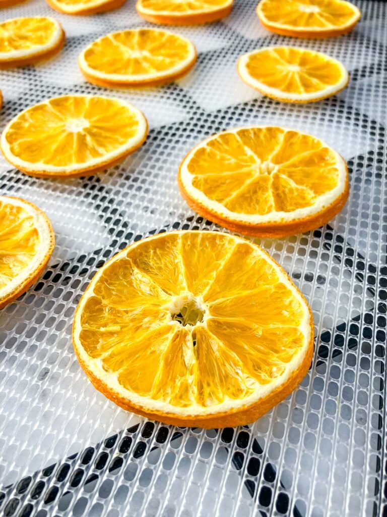Dried orange slices on a dehydrator tray.