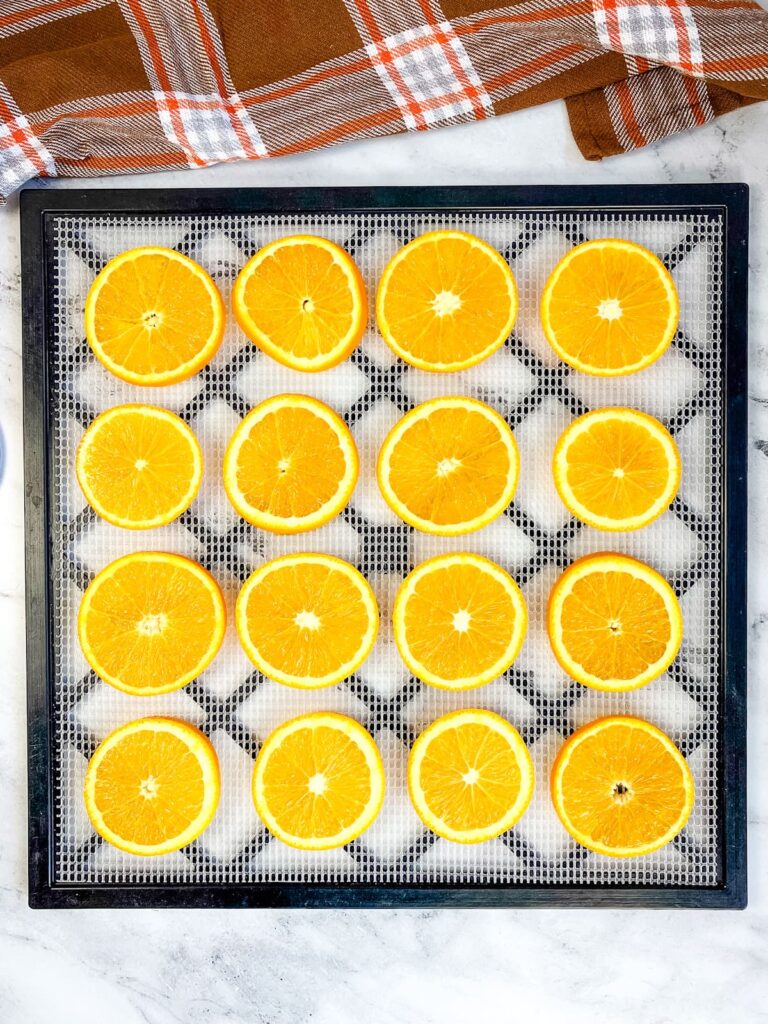 A dehydrator tray covered with orange slices.