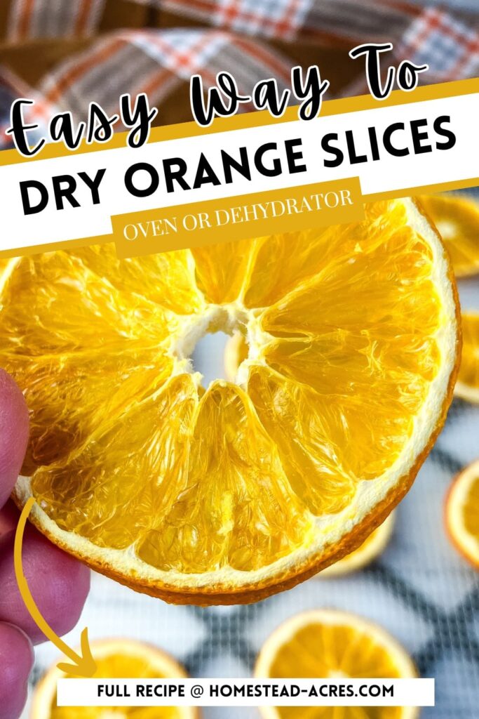A hand holding a dried orange slice. Text overlay says Easy Way To Dry Orange Slices Oven Or Dehydrator.