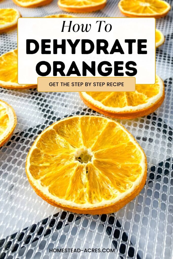 Dried oranges on a dehydrator tray. Text overlay says How To Dehydrate Oranges.