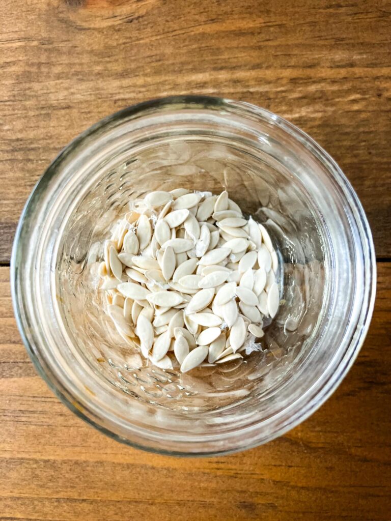 Home saved cucumber seeds in a mason jar.