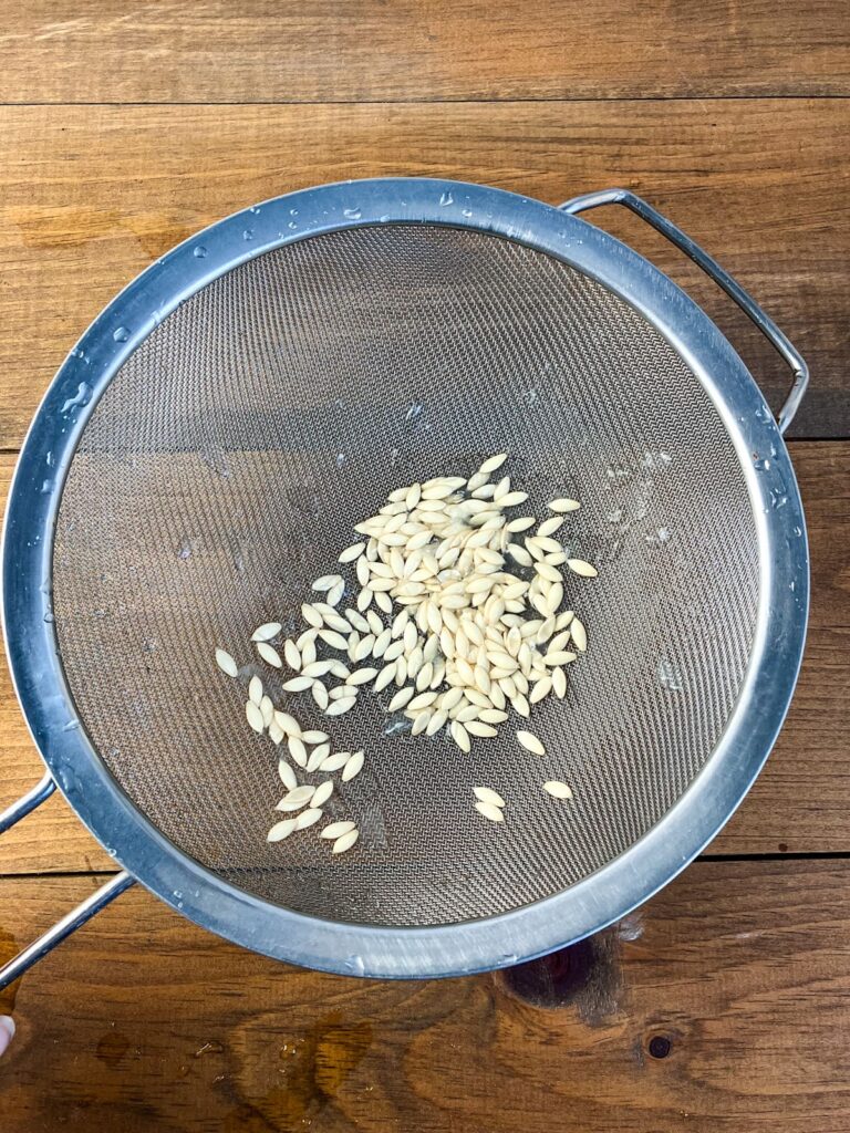 Washed cucumber seeds in a fine meshed strainer.