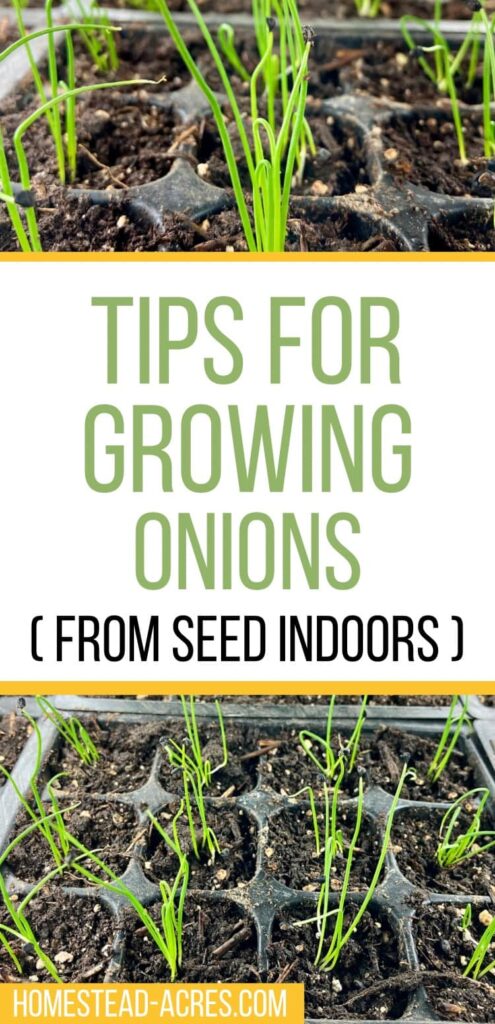 Collage image top and bottom show onion seedlings under grow lights. Text overlay says Tips For Growing Onions From Seed Indoors.