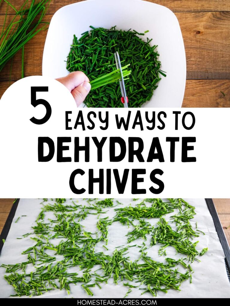 Collage image of cutting chives into a bowl and dried chives on a dehydrator tray. Text overlay says 5 Easy Ways To Dehydrate Chives.